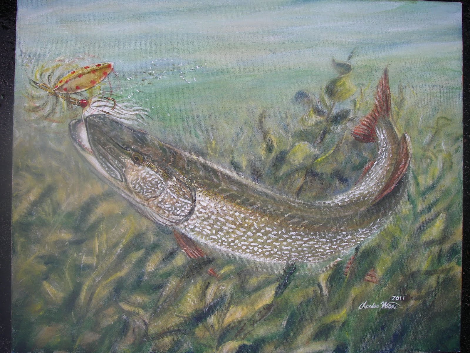 Stone River Northern Pike